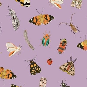 Painted Australian Insects / Butterfly, Bee, Moth, Beetle, Ladybird & Caterpillar / Pale Sparkling Grape Lilac / 10.5"