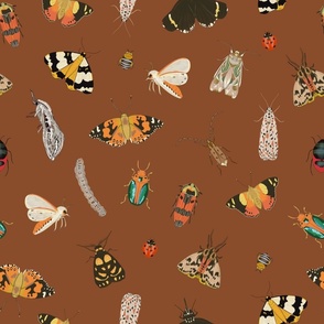 Painted Australian Insects / Butterfly, Bee, Moth, Beetle, Ladybird & Caterpillar / Red Brick Brown / 18"