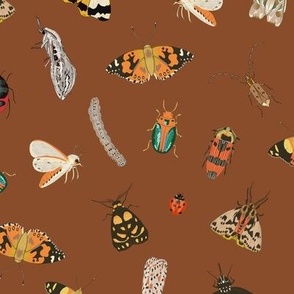 Painted Australian Insects / Butterfly, Bee, Moth, Beetle, Ladybird & Caterpillar / Red Brick / 10.5"