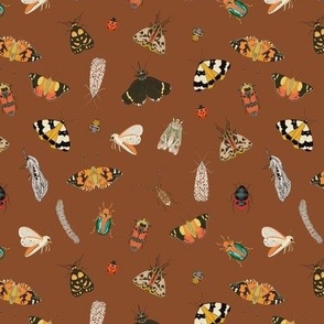 Painted Australian Insects / Butterfly, Bee, Moth, Beetle, Ladybird & Caterpillar / Red Brick Brown / 6"