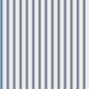 Ticking Stripe light: Denim Blue & Off White Pillow Ticking 