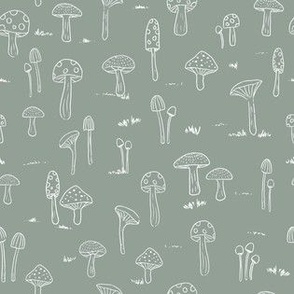 Mushrooms Woodland Dreams Collection toadstool mushroom B-01