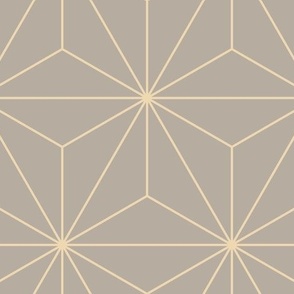 Hexagonal Starburst