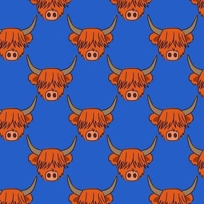 Highland cow 6