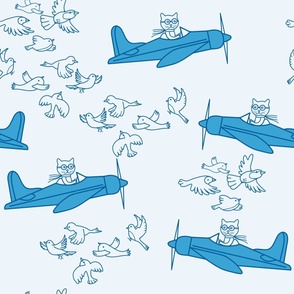 Why Do Cats Fly in Planes?