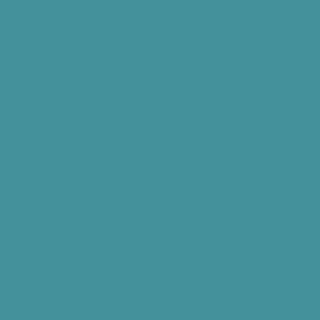 Teal Blue - Solid Unprinted - 448E99