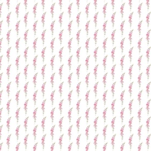 pink delphinium