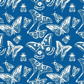 Pantone Moth Wallpaper
