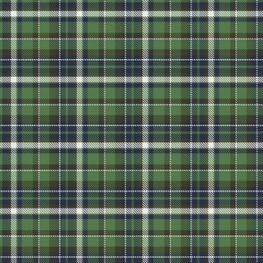 Plaid - Green and Blue