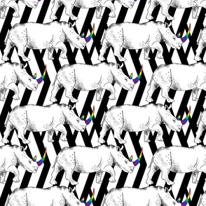 White Rhinos with rainbow