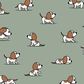 cute dogs - beagle - sage - hound dog - LAD23