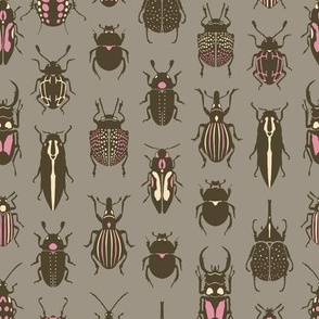 Beetle bugs