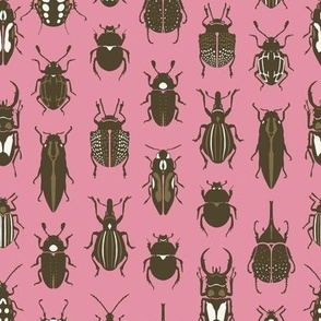 Beetle bugs
