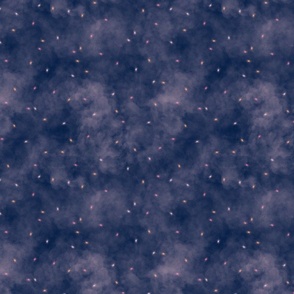 Starry Night Sky (10")