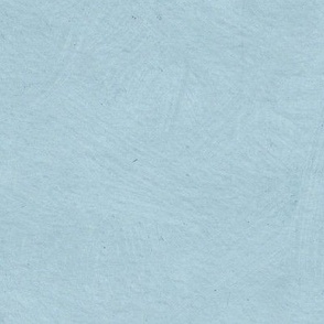 Plain Light Baby Sky Blue Solid with Texture