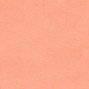 Plain Light Peach Coral Orange Solid with Texture