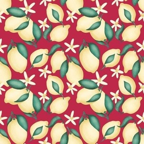 Lemons with leaves and flowers  - Red background