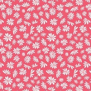 Off-white daisies on raspberry pink background