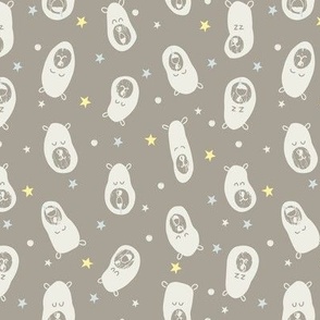  Sleepy Bear Faces with Benjamin Moore Rockport Gray Background
