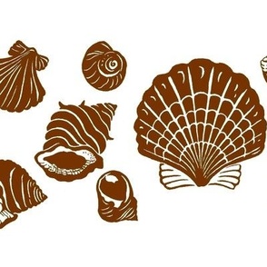 Sea Shells 1b