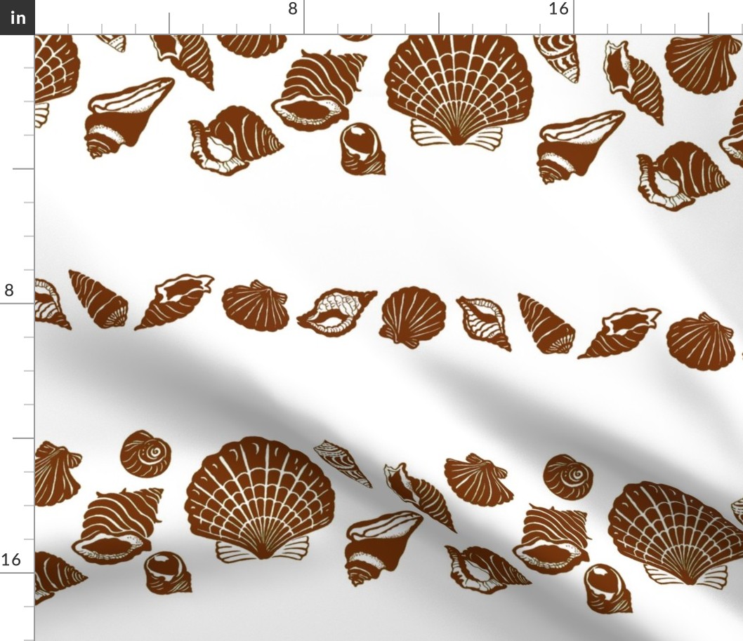 Sea Shells 1b