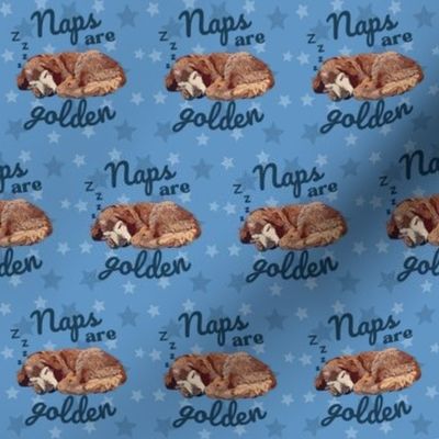 Naps Are Golden Retriever