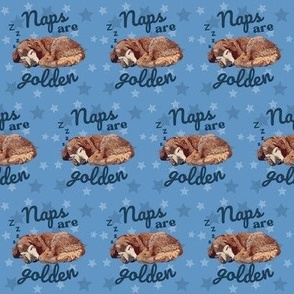 Naps Are Golden Retriever