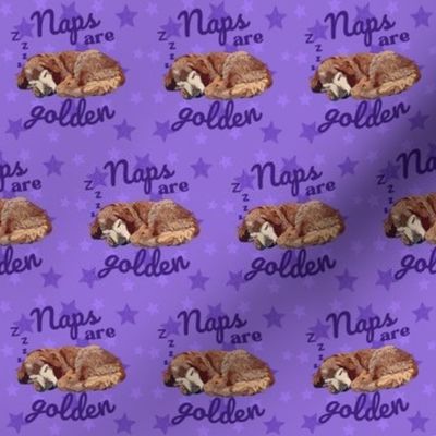 Naps Are Golden Retriever Purple