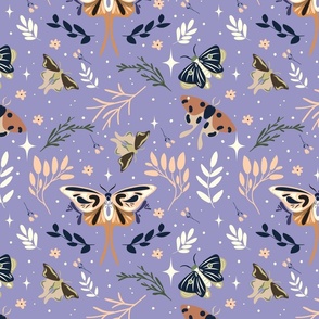 lavender moths
