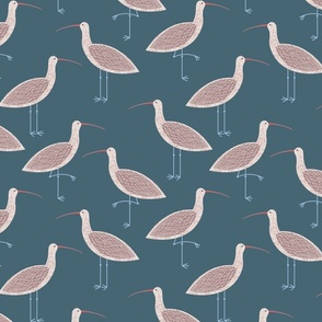 Curlew Bird Teal Green