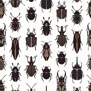 Beetle bugs wht
