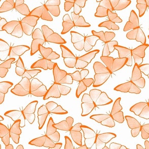 Amazon Morpho Butterflies - Pastel Orange  - Medium Scale