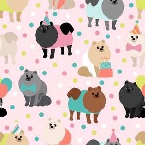 Party Pomeranian Dogs Pink