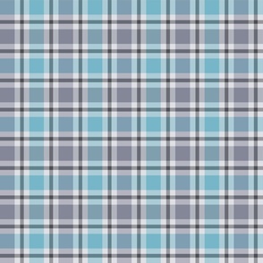 Maine Coast Fog 1 Inch Plaid Check No. 1 Charcoal Gray and Teal