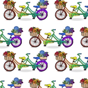 Rainbow Bicycle Built For Two 