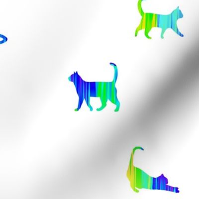 Multi-colored cats.Pets.Animals.Abstraction.For the veterinarian.  