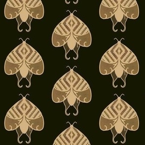 Brown Aztec Moth