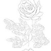 Beauty_in_simplicity%3a_one-line_art_rose