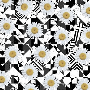 Colored daisies in a black and white geometry confusion