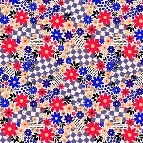 Maxi Pattern Clash_ Red and Blue