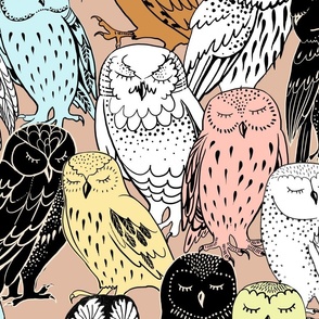 Colored Owls – Lagre Scale
