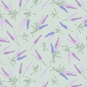 French lavender on light green