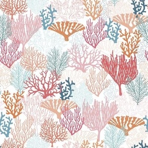 Coral Reef // Normal Scale // Coral Shapes // White Background // Summer Time // Tropical Beach // Underwater Life//