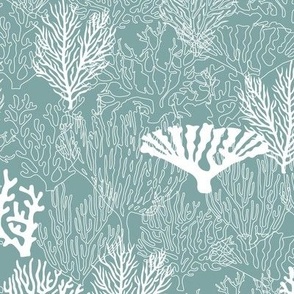 Light Coral Reef // Normal Scale // Coral Shapes // Turquese Background // Summer Time // Tropical Beach // Underwater Life//