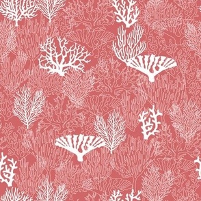 Boho Coral Reef // Normal Scale // Coral Shapes // Coral Background // Summer Time // Tropical Beach // Underwater Life//