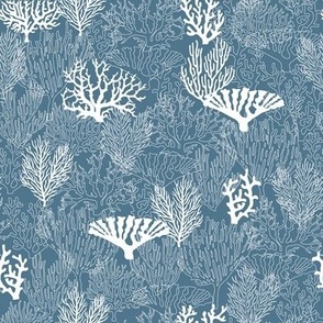 Coral Lines // Normal Scale // Coral Shapes // Blue Background // Summer Time // Tropical Beach // Underwater Life//