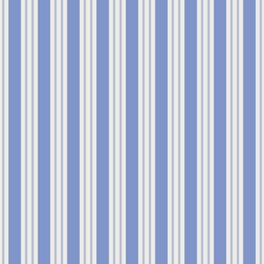 small // blue stripe