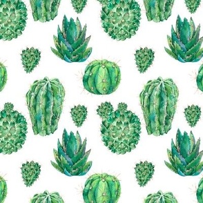 Watercolor Cacti on White