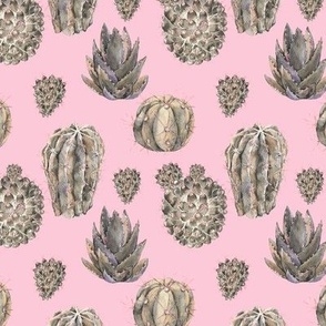 watercolor cacti on pink