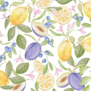 Juicy summer fruit watercolor hand-drawing on white background